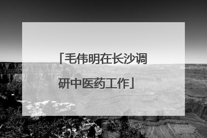 毛伟明在长沙调研中医药工作